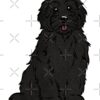 flat750x075f pad750x750f8f8f8 14 - Goldendoodle Gifts