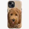 icriphone 14 toughbackax1000 pad1000x1000f8f8f8.u21 19 - Goldendoodle Gifts