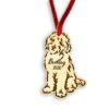 il 1000xN.4073291726 pd7i - Goldendoodle Gifts