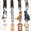 il 1000xN.4274600744 fpn6 - Goldendoodle Gifts