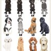 il 1000xN.4453101442 1vit - Goldendoodle Gifts