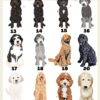 il 1000xN.4765475248 6tz6 - Goldendoodle Gifts