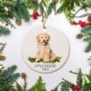 il 1000xN.4806686157 7wqz - Goldendoodle Gifts