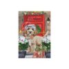 il 1000xN.5408615430 f3i5 - Goldendoodle Gifts