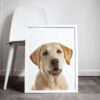 il 1000xN.5662168428 npj0 - Goldendoodle Gifts