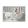 il 1000xN.5686343968 3fdb - Goldendoodle Gifts