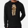 ssrcolightweight hoodiemens10101001c5ca27c6frontsquare productx1000 bgf8f8f8 9 - Goldendoodle Gifts