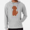 ssrcolightweight hoodiemensheather greyfrontsquare productx1000 bgf8f8f8 13 - Goldendoodle Gifts