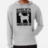 ssrcolightweight hoodiemensheather greyfrontsquare productx1000 bgf8f8f8 25 - Goldendoodle Gifts