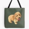 tb1040x1040large c1198800800 bgf8f8f8.u8 24 - Goldendoodle Gifts