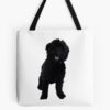 tb1040x1040large c1198800800 bgf8f8f8.u8 9 - Goldendoodle Gifts