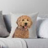 throwpillowsmall1000x bgf8f8f8 c020010001000 11 - Goldendoodle Gifts