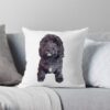 throwpillowsmall1000x bgf8f8f8 c020010001000 2 - Goldendoodle Gifts