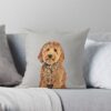 throwpillowsmall1000x bgf8f8f8 c020010001000 25 - Goldendoodle Gifts