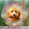 il 1000xN.5180711089 k3cg - Goldendoodle Gifts