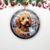 il 1000xN.5478275204 n1gz - Goldendoodle Gifts