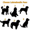 il 1000xN.5993442108 tgyt - Goldendoodle Gifts