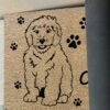 il 1000xN.6068211487 j7g7 - Goldendoodle Gifts