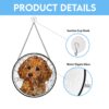 il 1000xN.6205052856 bvtx - Goldendoodle Gifts